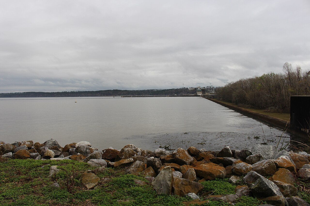Edge of Lake Seminole, the Florida-Georgia reservoir where Mike Williams disappeared in December 2000